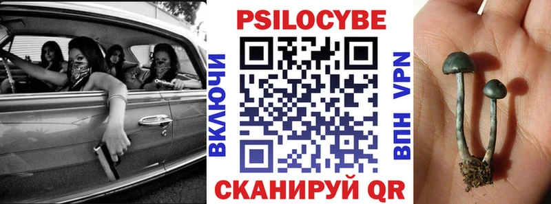 гидра вход  Верхняя Пышма  Псилоцибиновые грибы мицелий 